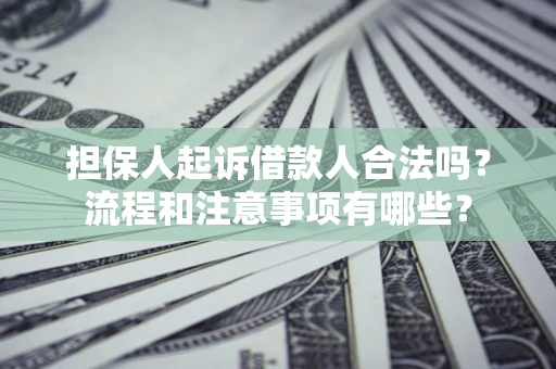 济南担保人起诉借款人合法吗？流程和注意事项有哪些？
