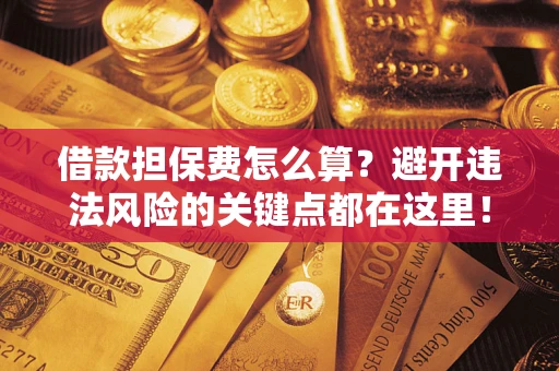 济南借款担保费怎么算？避开违法风险的关键点都在这里！