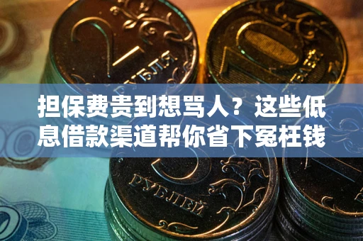 济南担保费贵到想骂人？这些低息借款渠道帮你省下冤枉钱