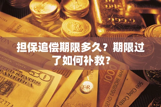 济南担保追偿期限多久？期限过了如何补救？