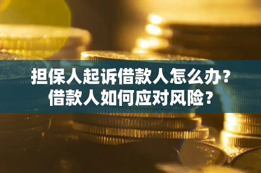 济南担保人起诉借款人怎么办？借款人如何应对风险？